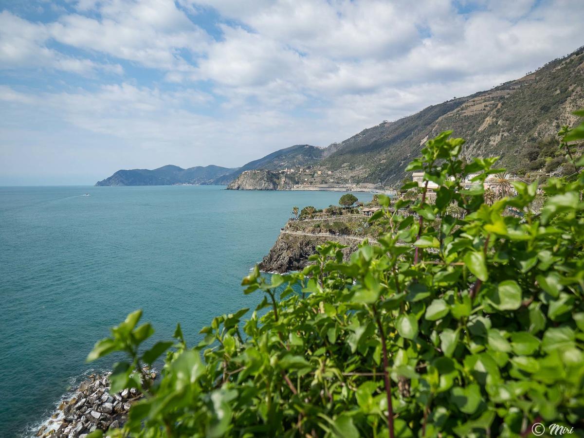 Il Baluardo Sea View Apartment On The Cliff Manarola Exterior photo